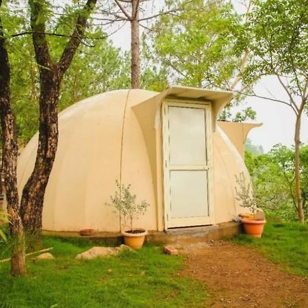 Jusgar Resort And Hote Dogadda Luaran gambar